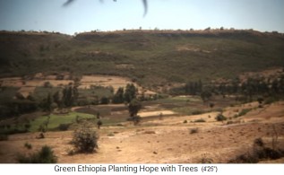 Pendiente de monta�a con bosque 2