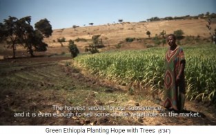 Una campesina delante de un campo cultivado