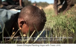 Los ni�os beben el agua de riego
                      fresca del suelo