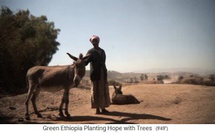 Una mujer
                      recibe un burro
