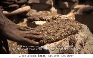 El esti�rcol de burro se seca
                      en piedras al sol, de cerca