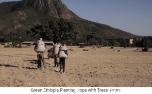 Sogar Kinder m�ssen in �thiopien auf
                        dem Land schwere Lasten tragen, mit
                        Halsaufh�ngung 02