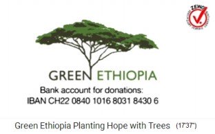 Cuenta de
                                donaciones de la fundaci�n Green
                                Ethiopia