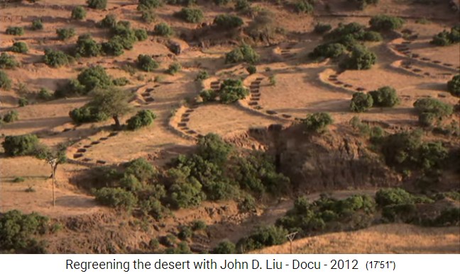 �thiopien, das Dorf
                      Abraha Atsebaha, Felder mit wenig Neigung erhalten
                      Erdd�mme und Wasserl�cher, damit das Wasser am Ort
                      versickert und nicht abfliesst
