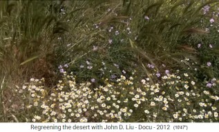 Jordanien, regeneriertes
                      Gebiet mit Artenvielefalt 01