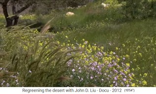 Jordanien, regeneriertes
                      Gebiet mit Artenvielefalt 02