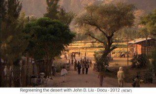 �thiopien, das
                      regenerierte Dorf Abraha Atsebaha, eine
                      Dorfstrasse