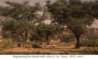 �thiopien, das
                      regenerierte Dorf Abraha Atsebaha mit Park