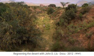 �thiopien, das regenerierte Dorf Abraha
                      Atsebaha mit Str�uchern und B�umen an H�geln