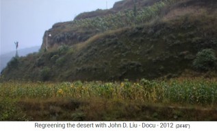 Ruanda,
                      ein Maisfeld im Tal