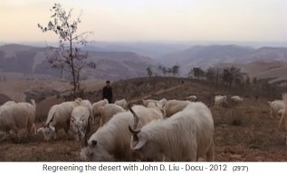 La meseta de Loess en
                    China: los rebaos de ganado se lo comen todo