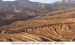 Meseta de Loess de China: terrazas con
                        diques transversales (elemento de permacultura)