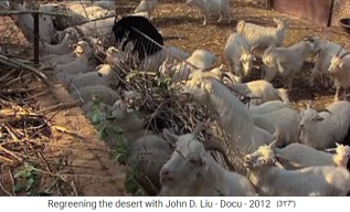China,
                    meseta de Loess, los agricultores ahora mantienen su
                    ganado en la granja
