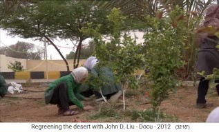 Jardn de permacultura en
                      Jordania, se coloca restos vegetales (mull) en los
                      campos de hortalizas 02