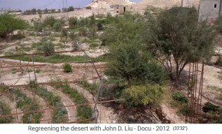 Jordania, jardn de permacultura
                      con campos en rayas