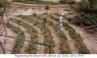 Jardn de permacultura
                        en Jordania, campos de banda 03