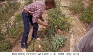 Jardn de permacultura en
                    Jordania, los campos de franjas 4