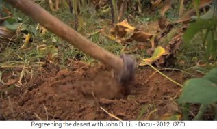 El suelo de
                      permacultura en la meseta del Loess es el mejor
                      suelo