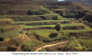 China, meseta de Loess,
                    cultivacin de verduras en terrazas anchas en diques
                    transversales (permacultura) 2
