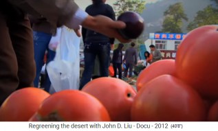 China, meseta
                            de Loess, mercado 03 con tomates y
                            berenjenas