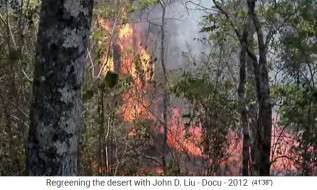 Bolivia con agricultura de tala y quema 2