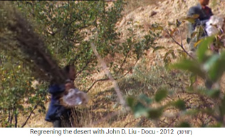 China
                    L�ssplateau, f�r die Stabilisierung von H�ngen wird
                    ein Strauch hochgetragen