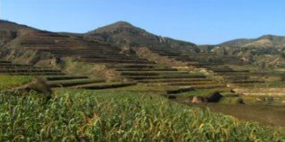 China, das regenerierte L�ssplateau 2012 01