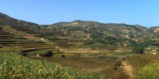 China, das regenerierte L�ssplateau 2012
                      02