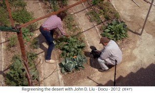 Jard�n de permacultura en
                    Jordania, los campos de franjas 2