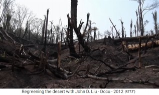 Bolivien
                            mit Brandrodung 04, es bleiben nur
                            Baumst�mpfe �brig