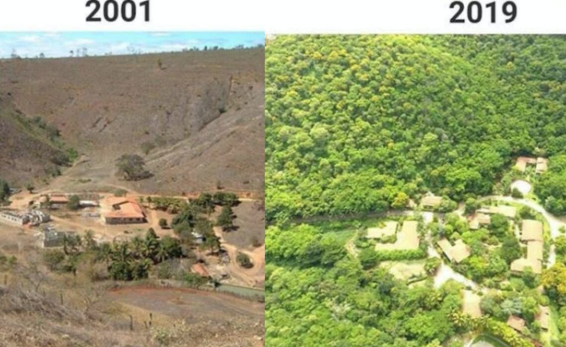 La granja Bulc�o de Salgado en
                    2001 y en 2019 reforestada