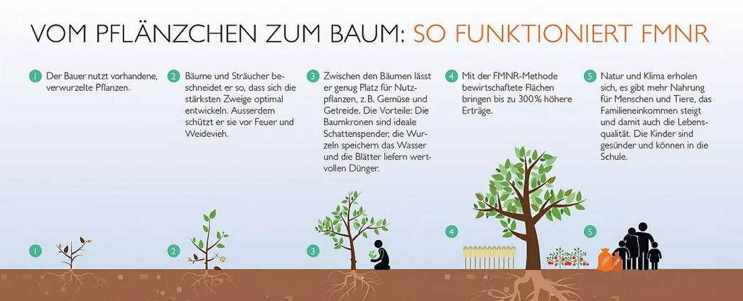 Steppe in Afrika
                    23.10.2022: Pionier Tony Rinaudo: Str�ucher sind
                    verk�mmerte B�ume - muss man nur richtig pflegen und
                    die B�ume sind wieder da: B�ume pflanzen gegen den
                    Klimawandel – ist es wirklich so einfach?