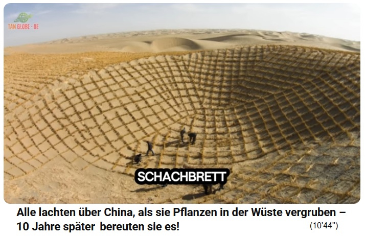 Strohgitter,
                      Stroh-Schachbrett wird auf der W�ste montiert