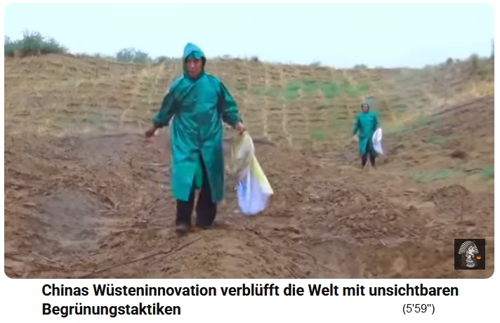 China: Samen werden bei
                      feuchtem Wetter auf Strohgitter ges�t 01
