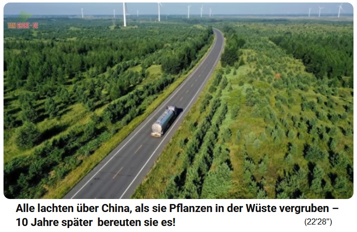Strasse durch die
                    Taklamakan-W�ste ist nun mit Wald gesichert 02