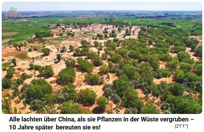 China: W�ste in Wald und Feld verwandelt 02