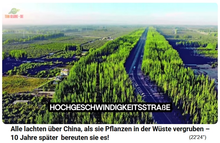 Strasse durch die
                    Taklamakan-W�ste ist nun mit Wald gesichert 01