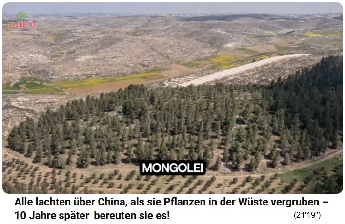 Innere Mongolei:
                    Steinw�ste mit Wald hat kaum noch Staubst�rme 01