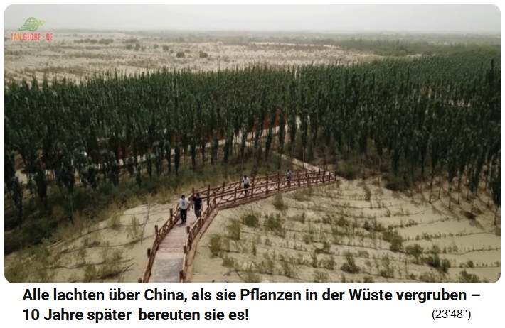 China, H�gellandschaft mit Waldstreifen