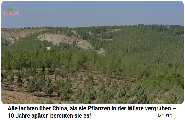 Innere Mongolei:
                    Steinw�ste mit Wald hat kaum noch Staubst�rme 02
