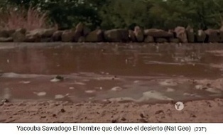 Niedrige Steinwälle verlangsamen den
                            Abfluss des Regenwassers, Methode von
                            Yacouba Sadabogo in Gourga, Burkina Faso