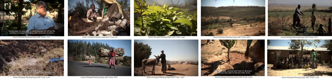 Wüste in Wald verwandeln
                              04: Hochland von Äthiopien (Afrika) - die
                              Stiftung "Green Ethiopia" (Film
                              von 2014) Baumschule - Bäume setzen und
                              pflegen - neue Gewässer mit
                              Bewässerungslandwirtschaft das GANZE Jahr
                              hindurch - Esel für Transporte - der
                              Schulbaum