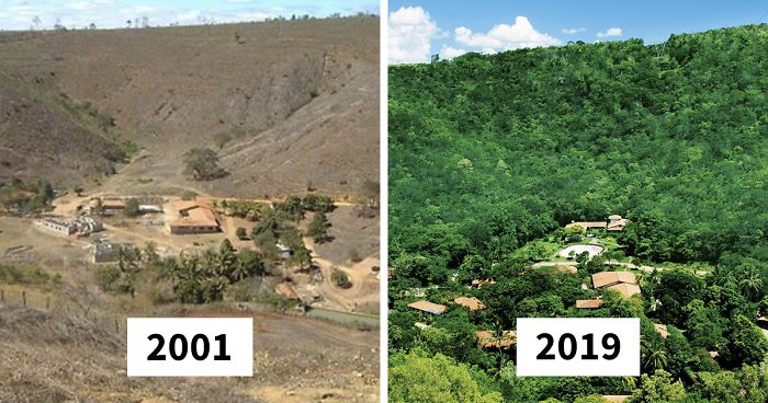 Brazil:
                          Farm Bulc�o of Mr.+Mrs. Salgado before in 2001
                          and after in 2019