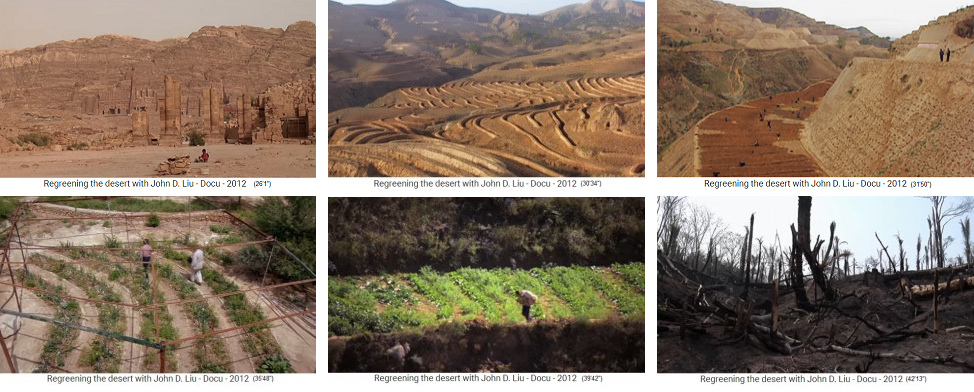 Ciudad en ruinas
                                Petra en Jordania: Este desierto rocoso
                                tambi�n se puede regenerar - Meseta de
                                Loess de China: terrazas con presas,
                                diques, fosas y zanjas - terrazas con
                                diques transversales (elemento de la
                                permacultura) - Jard�n de permacultura
                                en Jordania - Meseta de Loess de China:
                                permacultura en terrazas con diques
                                transversales - tala y quema en Bolivia,
                                donde el gobierno y la poblaci�n a�n no
                                conocen los ciclos ecol�gicos ni la
                                permacultura.