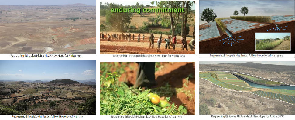 Convertir
                              desierto en bosque 03: altiplano de
                              Etiopia (�frica): provincias Amhara,
                              Tigray y Oromia (estado 2014) Reinstalar
                              el ecosistema completo con terrazas,
                              presas, diques, fosas, zanjas, prados,
                              bosques, surcos de agua, estanques,
                              cosechas buenas - y el r�o fluye durante
                              TODO el a�o.