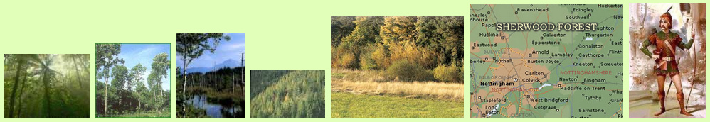 Waldsch�ndung: Eschen im Wald,
                    Moorwald, Tannenwald etc.