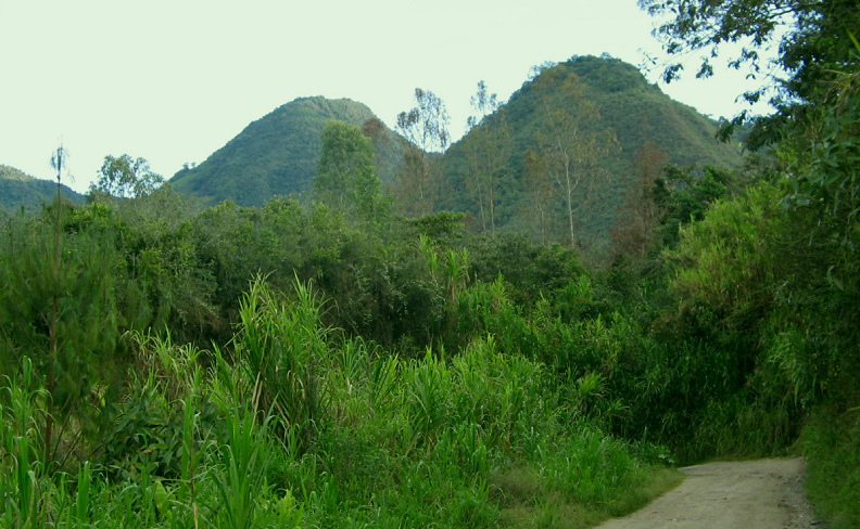 Bosque lluvioso con lluvia diaria tiene el aire
                    m�s limpio (regi�n de Oxapampa, Per�)