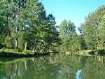 Le Lot from Salelles:
                              Forest with waters in the Cevennes