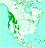 Distribution of
                              Douglas fir in Canada and "USA",
                              map