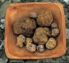 Truffles -- Tr�ffel, Tr�ffelpilz